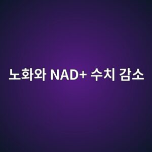 노화와 NAD+ 수치 감소, 그리고 NMN·NR(니코틴아마이드 모노뉴클레오타이드)의 세포 기전 4 eb85b8ed9994ec9980 nad ec8898ecb998 eab090ec868c 1787520751