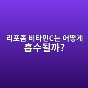 흡수율이 남다른 리포좀 비타민C, 왜 가격이 더 비싸고 효과가 좋을까? 5 eba6aced8faceca280 ebb984ed8380ebafbcceb8a94 ec96b4eb96bbeab28c ed9da1ec8898eb90a0eab98c 1786918717