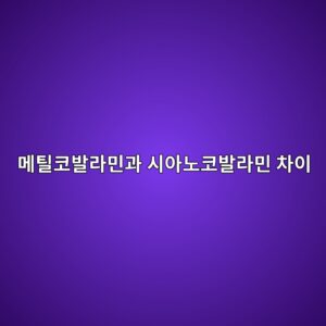 메틸코발라민과 시아노코발라민 차이 3 eba994ed8bb8ecbd94ebb09ceb9dbcebafbceab3bc ec8b9cec9584eb85b8ecbd94ebb09ceb9dbcebafbc ecb0a8ec9db4 1786918927