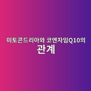 세포 에너지 공장! 미토콘드리아 기능 살리는 코엔자임Q10의 핵심 역할 2 ebafb8ed86a0ecbd98eb939ceba6acec9584ec9980 ecbd94ec9794ec9e90ec9e84q10ec9d98 eab480eab384 1786919035