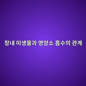 아무리 좋은 영양제를 먹어도 흡수가 안 된다면? 장내 미생물의 비밀 1 ec9ea5eb82b4 ebafb8ec839debacbceab3bc ec9881ec9691ec868c ed9da1ec8898ec9d98 eab480eab384 1786919318