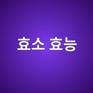 효소 효능·먹는법·부작용 총정리, 효소 제품 고르는 방법먹는 효소 2 ed9aa8ec868c ed9aa8eb8aa5 1787263709