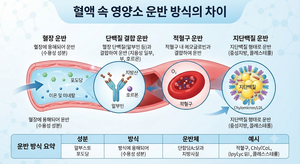 혈액 속에서 영양소가 운반되는 방식은 성분마다 어떻게 다른가 9 혈액 속에서 영양소가 운반되는 방식은 성분마다 어떻게 다른가