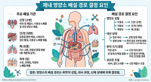 체내에서 영양소가 배설되는 경로는 어떻게 결정되는가 6 체내에서 영양소가 배설되는 경로는 어떻게 결정되는가