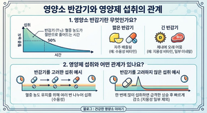영양소의 반감기란 무엇이며 영양제 섭취와 어떤 관계가 있는가 5 영양소의 반감기란 무엇이며 영양제 섭취와 어떤 관계가 있는가