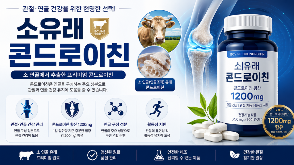 소유래 콘드로이친 총정리: 상어 연골 차이점부터 복용법·선택 기준까지 1 image 16