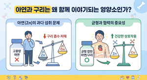 아연과 구리는 왜 함께 이야기되는 영양소인가 5 아연과 구리