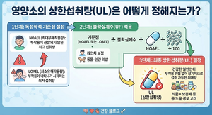 영양소의 UL(상한섭취량)은 어떻게 정해지는가 7 영양소의 UL(상한섭취량)