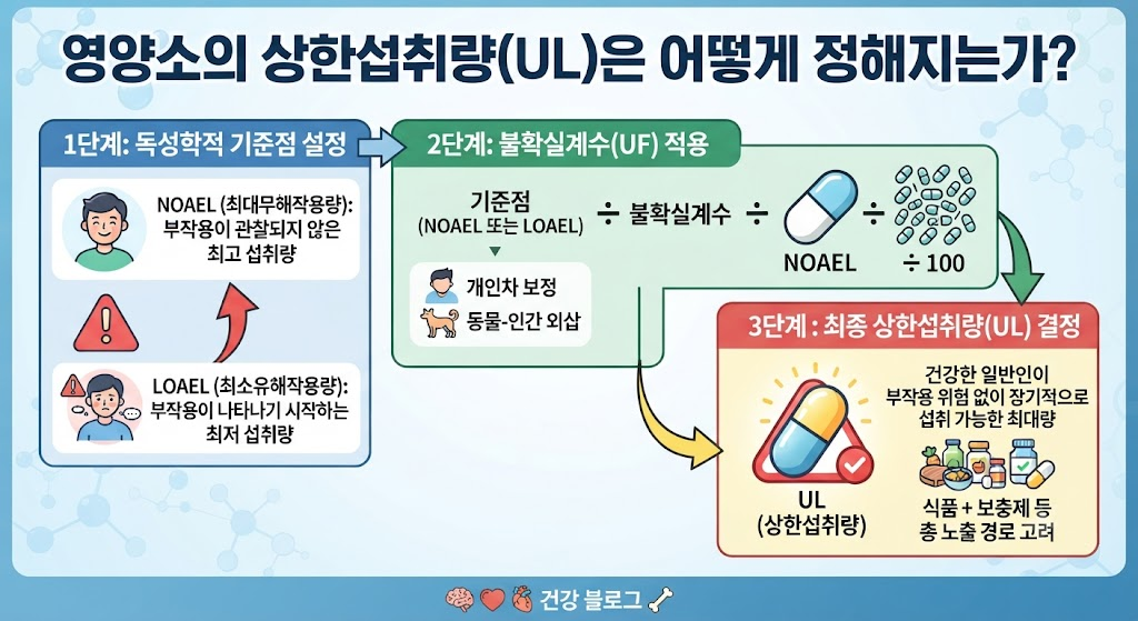 영양소의 UL(상한섭취량)은 어떻게 정해지는가 1 image 50