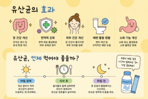 유산균 효과 먹는시간유산균 먹는 시간 및 효능·부작용, 장 건강을 위한 섭취 가이드 완벽 정리유산균 효과 먹는시간 5 유산균 효과 먹는시간