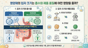영양제의 입자 크기는 흡수와 제품 품질에 어떤 영향을 줄까 7 영양제의 입자 크기는 흡수와 제품 품질에 어떤 영향을 줄까