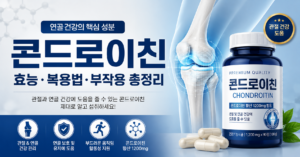 콘드로이친 완벽 가이드: 효능과 부작용, 복용법부터 제품 선택 기준까지 총정리 1 콘드로이친