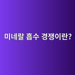 미네랄 흡수 경쟁이란? 칼슘·철분·아연·마그네슘을 함께 먹을 때 알아둘 점 6 ebafb8eb84a4eb9e84 ed9da1ec8898 eab2bdec9f81ec9db4eb9e80 1789461928