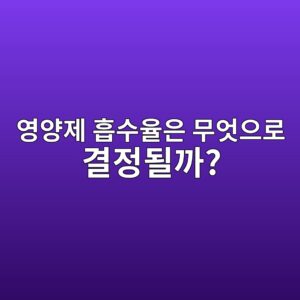 영양제 흡수율은 무엇으로 결정될까? 생체이용률과 흡수 과정 이해하기 1 ec9881ec9691eca09c ed9da1ec8898ec9ca8ec9d80 ebacb4ec9787ec9cbceba19c eab2b0eca095eb90a0eab98c 1789376607
