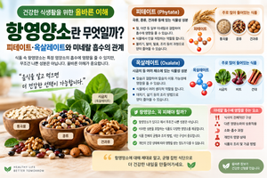 항영양소란 무엇일까? 피테이트·옥살레이트와 미네랄 흡수의 관계 8 항영양소란 무엇일까?