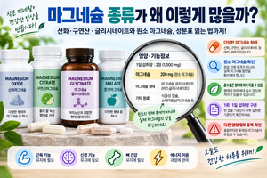 마그네슘 종류가 왜 이렇게 많을까? 산화·구연산·글리시네이트와 원소 마그네슘 읽는 법 4 마그네슘 종류가 왜 이렇게 많을까? 산화·구연산·글리시네이트와 원소 마그네슘 읽는 법